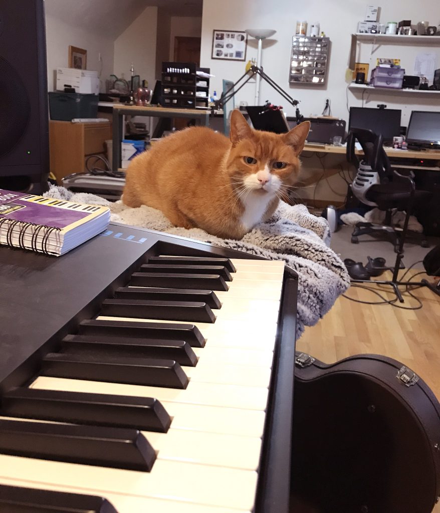 Cat and piano