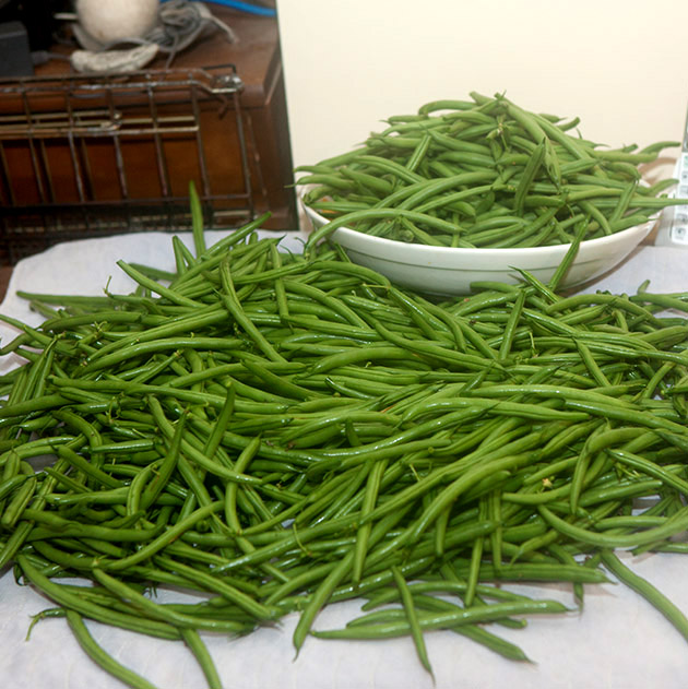 String beans
